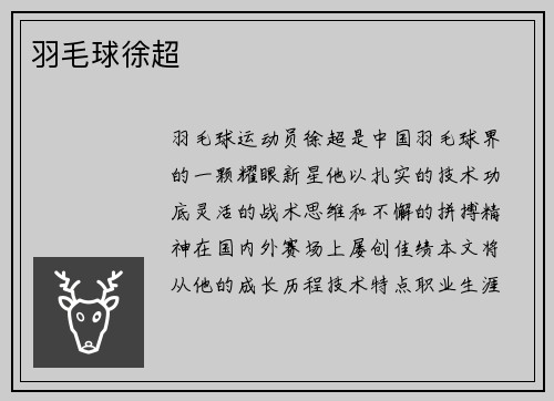 羽毛球徐超